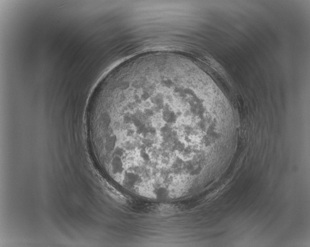 X0000063470787200602101739