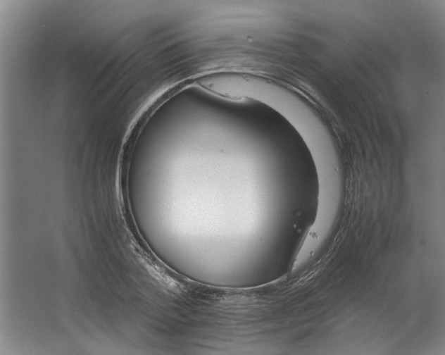 X0000063470788200602101739