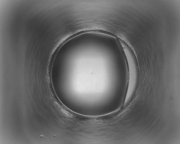 X0000063470789200602101739