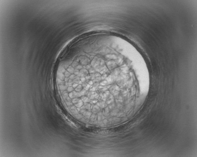 X0000063470791200602101739