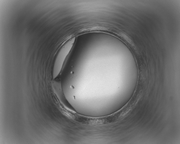 X0000063470793200602101739