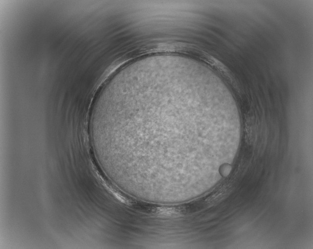 X0000063470794200602101739