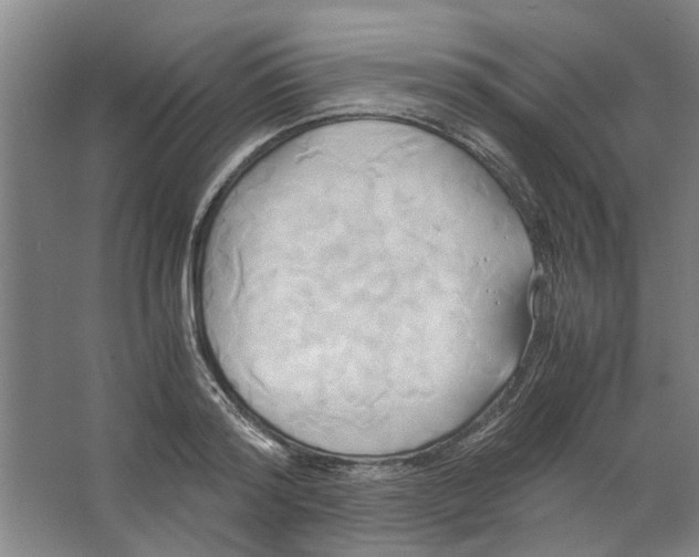 X0000063470796200602101739