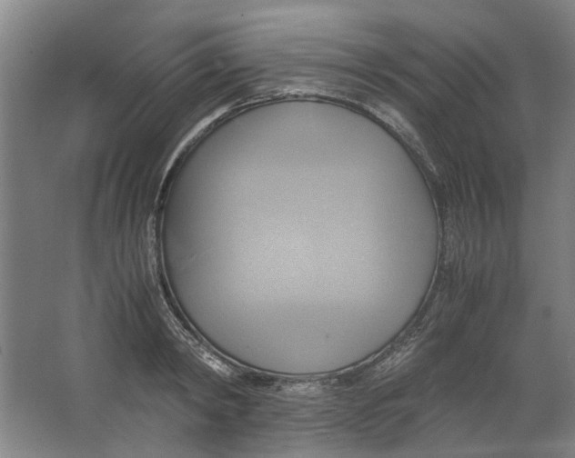 X0000063470798200602101739