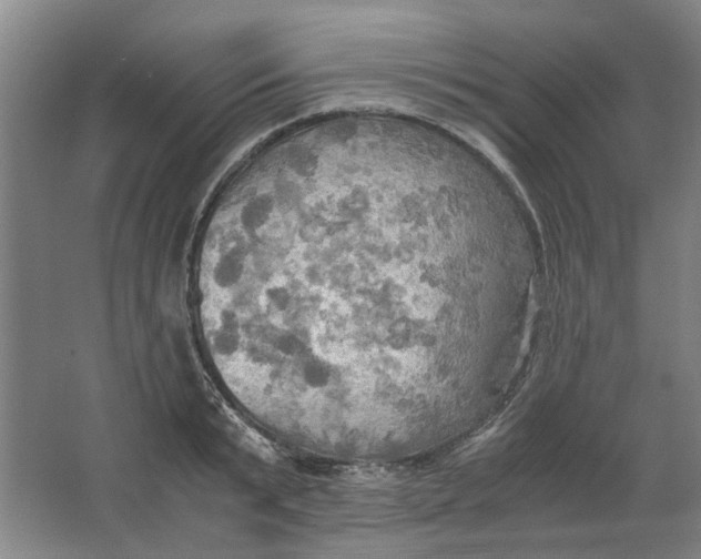 X0000063470799200602101739