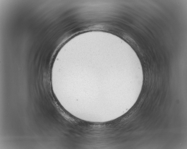 X0000063470800200602101739