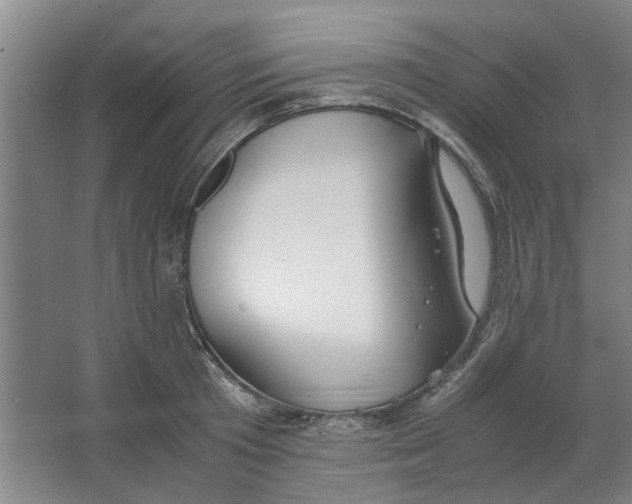 X0000063470801200602101739