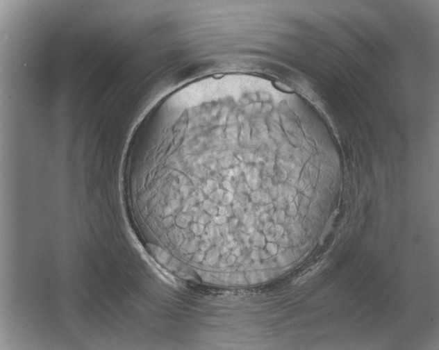 X0000063470803200602101739