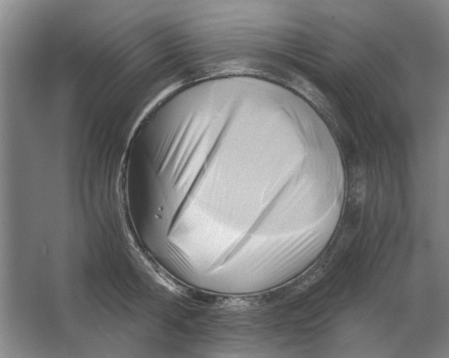 X0000063470806200602101739