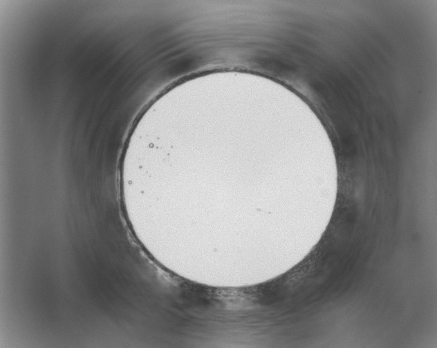 X0000063470807200602101739