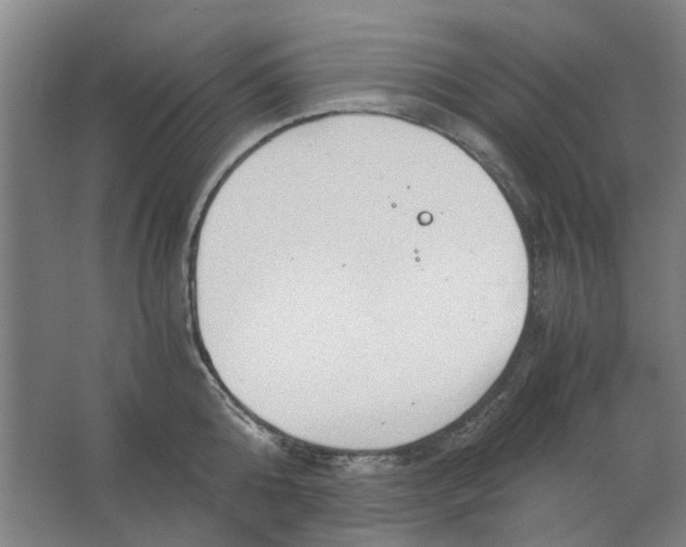 X0000063470808200602101739