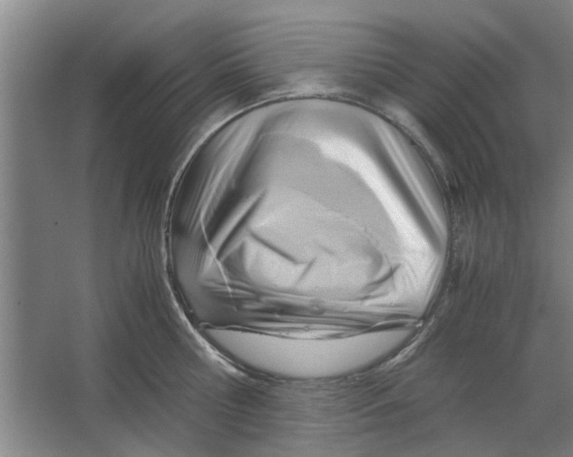 X0000063470810200602101739