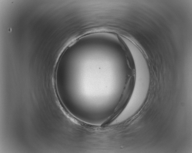 X0000063470813200602101739