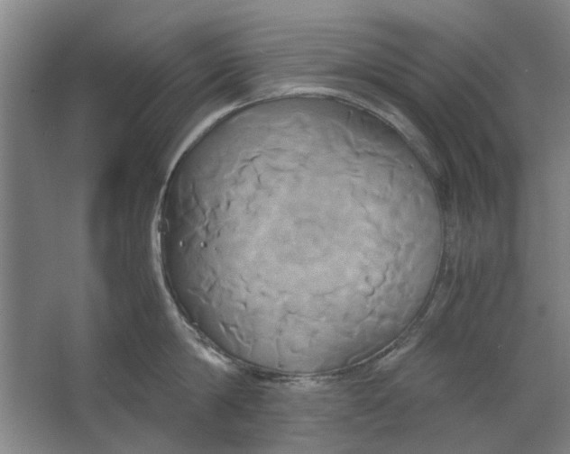 X0000063470814200602101739