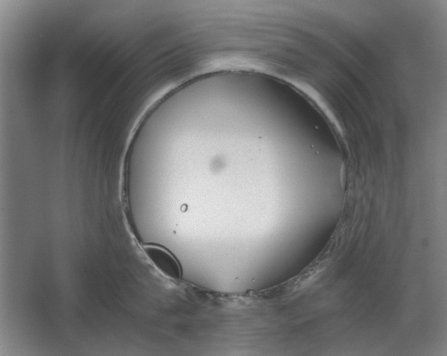 X0000063470815200602101739