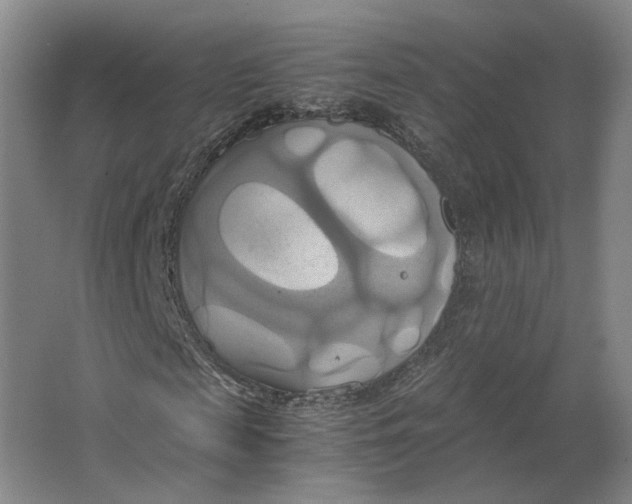 X0000063470817200602101738