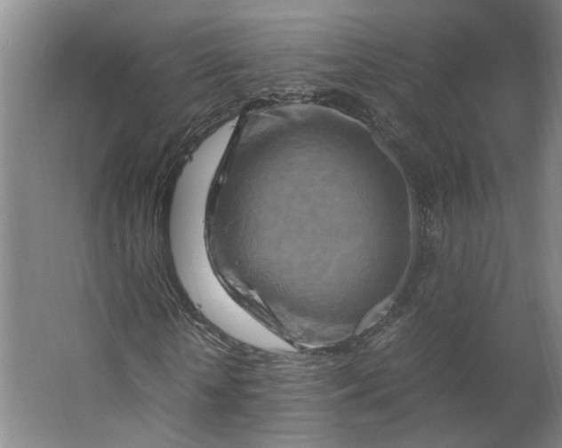 X0000063470818200602101738