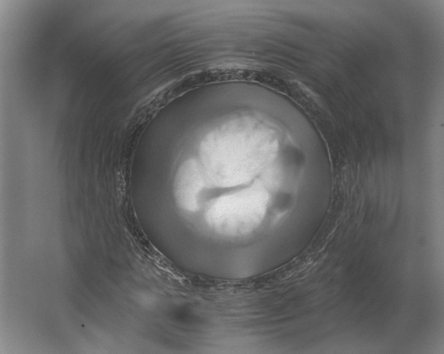 X0000063470821200602101738