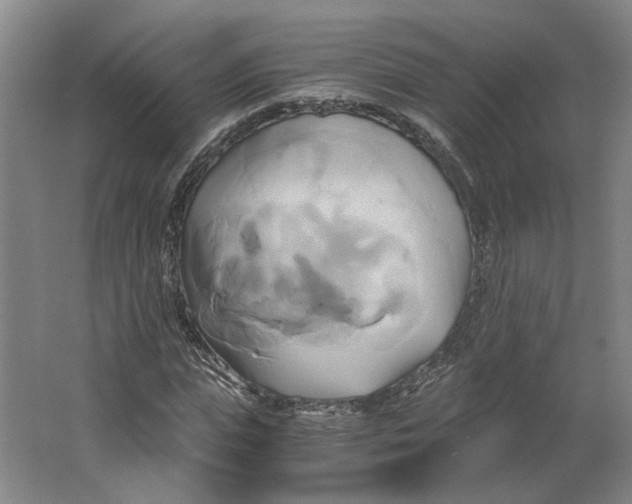 X0000063470823200602101738