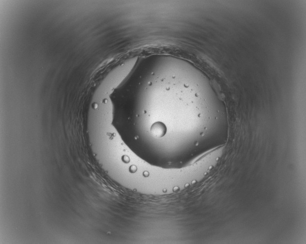 X0000063470824200602101738