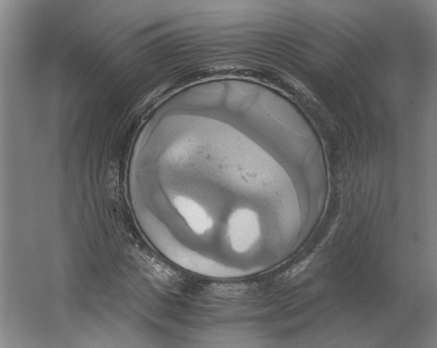 X0000063470825200602101738