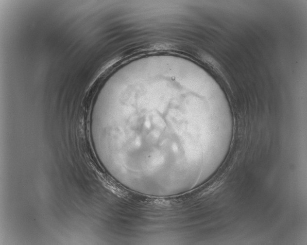 X0000063470827200602101738