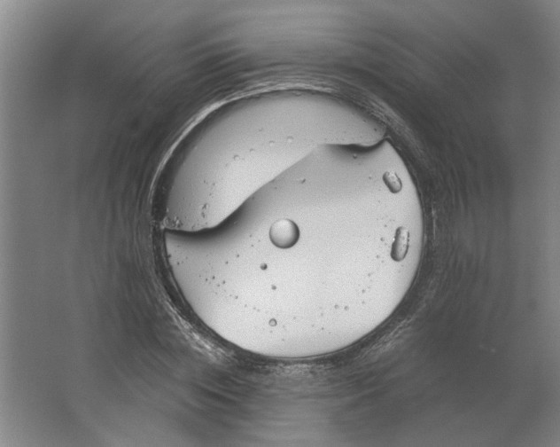 X0000063470828200602101738