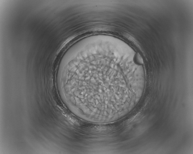 X0000063470829200602101738