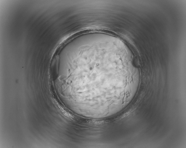 X0000063470831200602101738