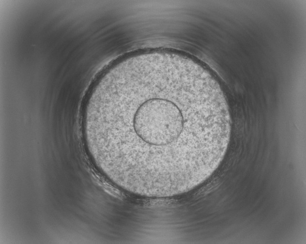 X0000063470832200602101738