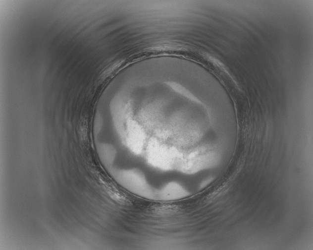 X0000063470833200602101738