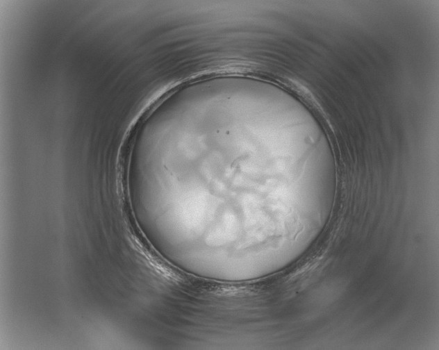 X0000063470835200602101738