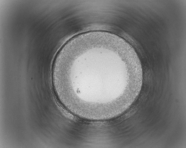 X0000063470836200602101738