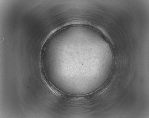 X0000063470837200602101738