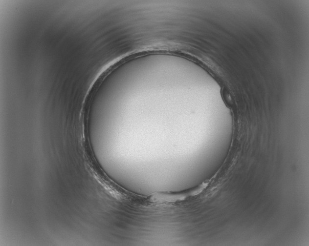 X0000063470838200602101738