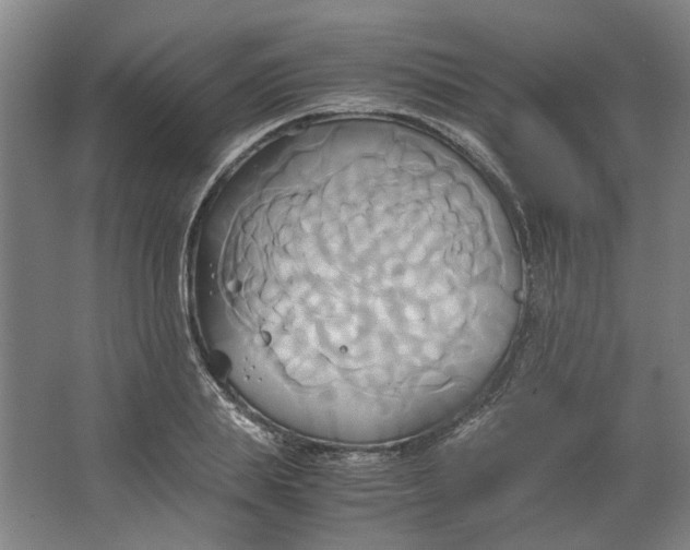 X0000063470839200602101738