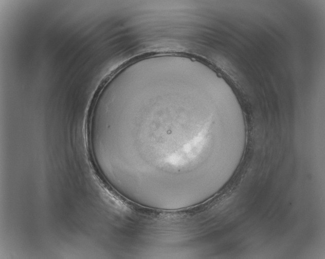 X0000063470840200602101738