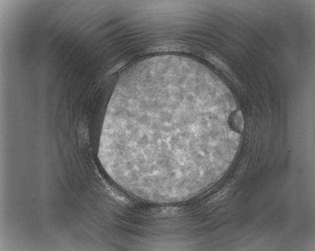 X0000063470841200602101738