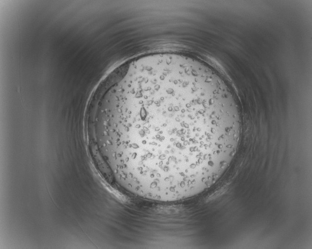 X0000063470843200602101738