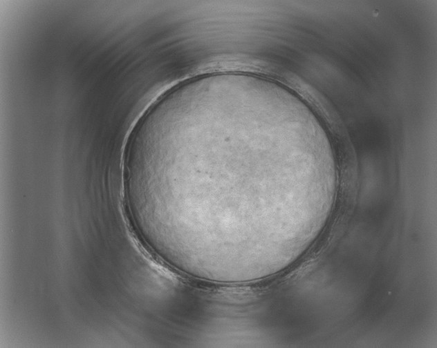 X0000063470844200602101738