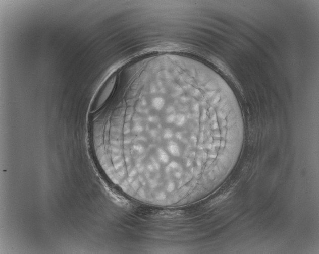 X0000063470845200602101738