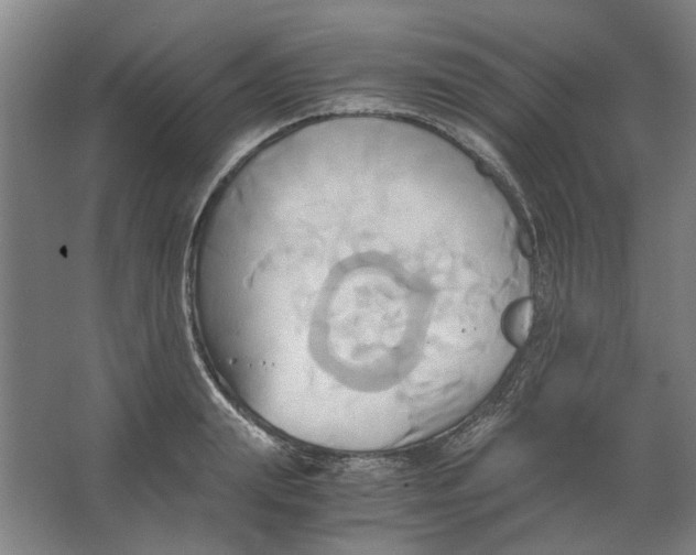 X0000063470847200602101738