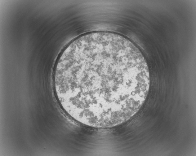 X0000063470848200602101738