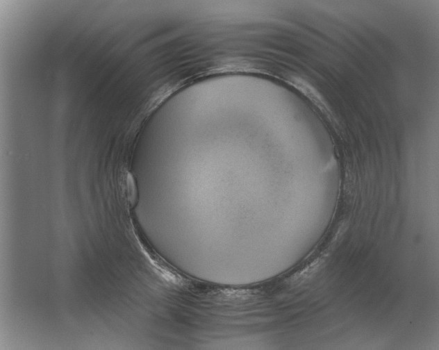 X0000063470849200602101738