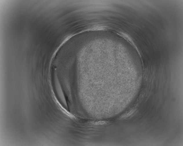 X0000063470851200602101738