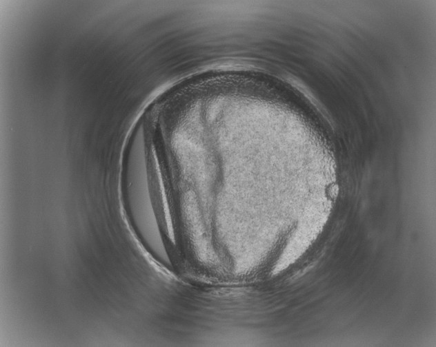 X0000063470853200602101738