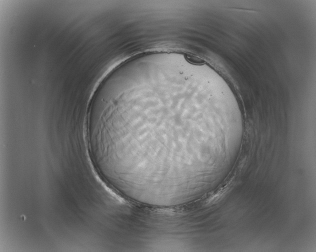 X0000063470855200602101738