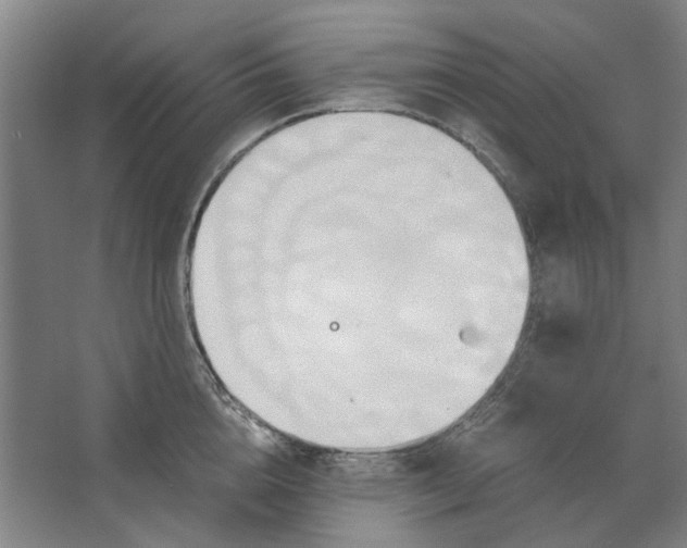 X0000063470856200602101738