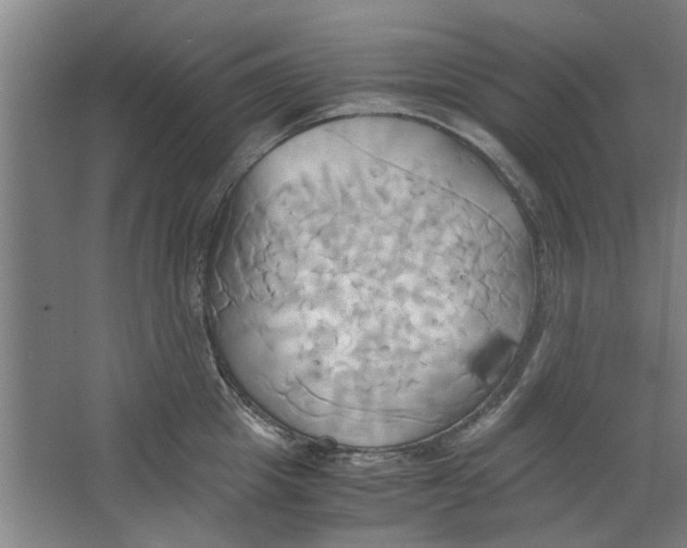 X0000063470857200602101738