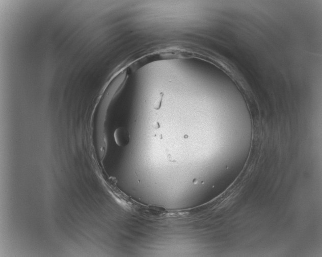 X0000063470858200602101738